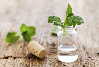 Everything you ever wanted to know about peppermint oil