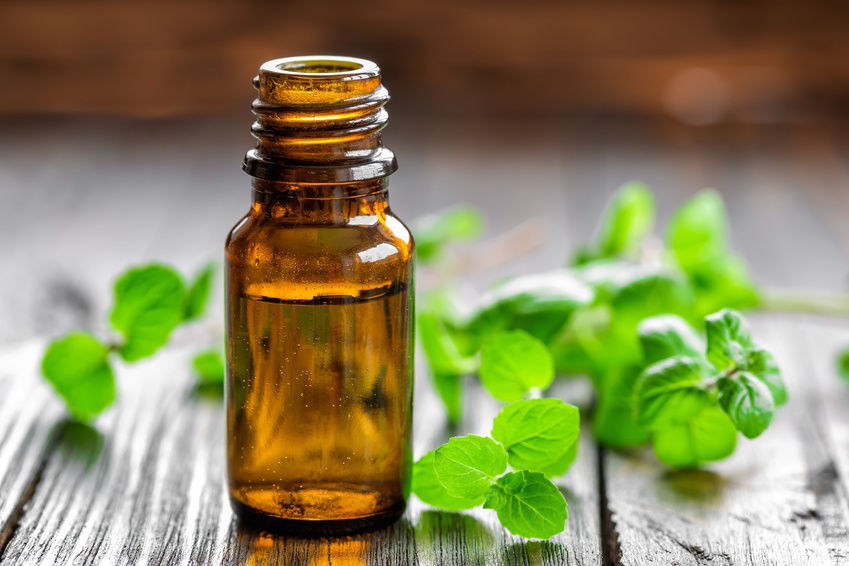 Why wintergreen oil is a great addition to your home natural remedies